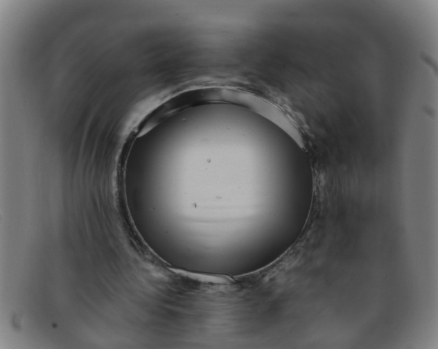 X0000091350340200708311520
