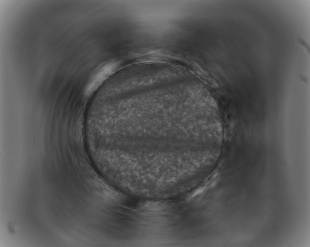 X0000091350341200708311521