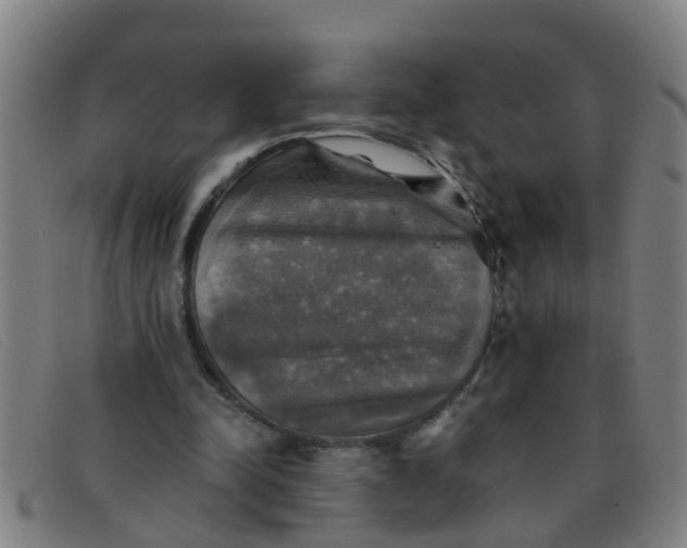 X0000091350342200708311521