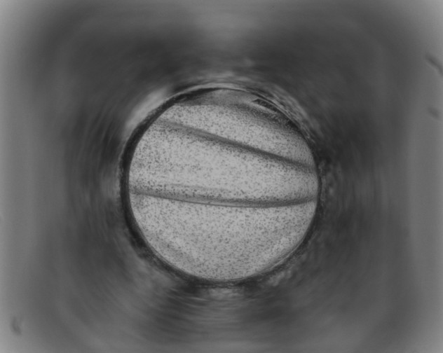 X0000091350344200708311521