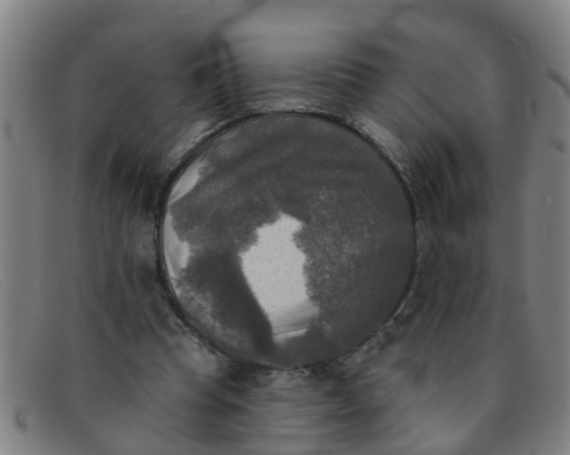 X0000091350345200708311521