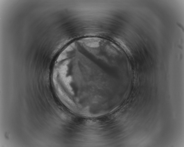 X0000091350346200708311521