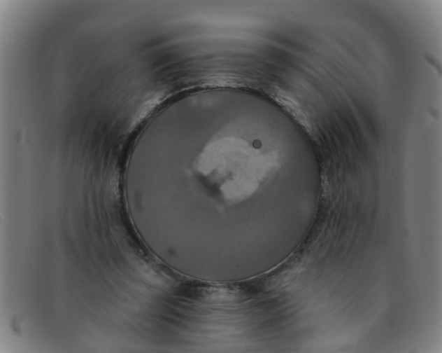 X0000091350347200708311521