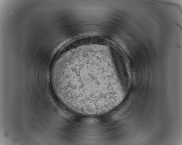 X0000091350348200708311521