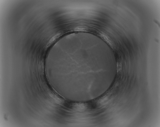 X0000091350349200708311521