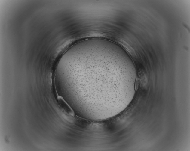 X0000091350350200708311521