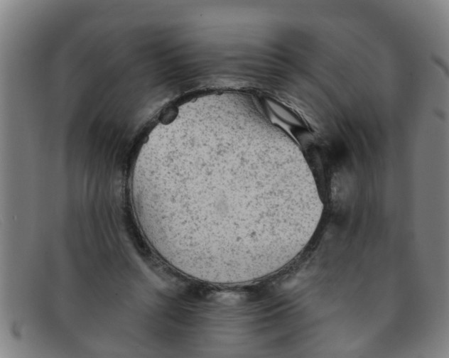 X0000091350352200708311521
