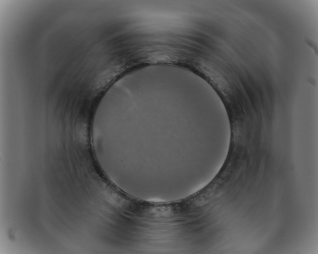 X0000091350353200708311521