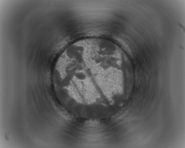 X0000091350354200708311521