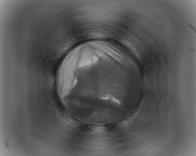 X0000091350355200708311521