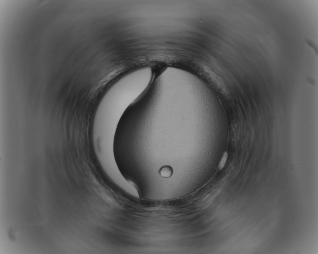 X0000091350356200708311521