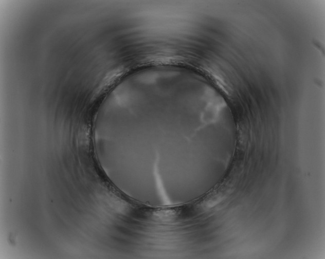 X0000091350357200708311521