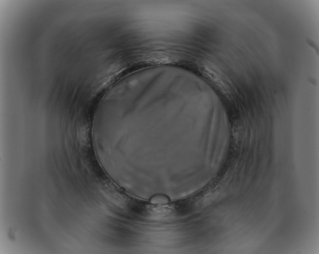 X0000091350359200708311521