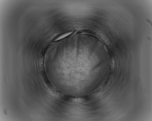 X0000091350360200708311521