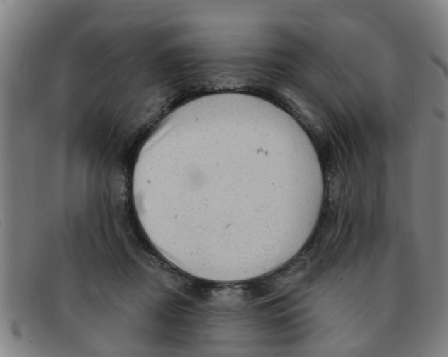 X0000091350362200708311521
