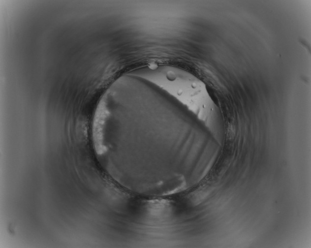 X0000091350363200708311521