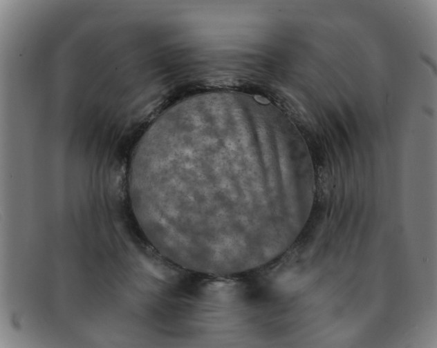 X0000091350364200708311521