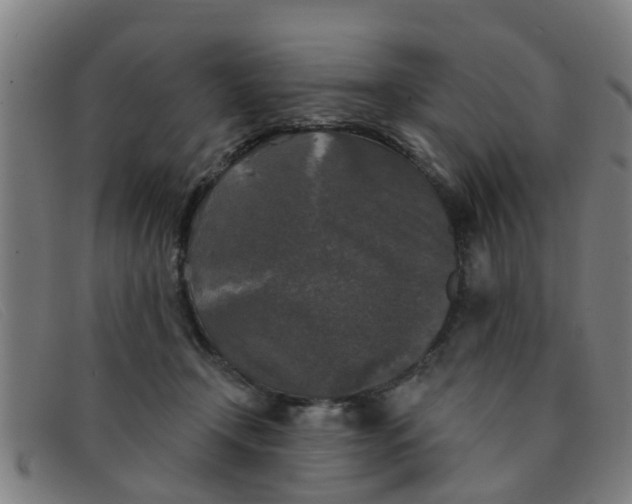 X0000091350366200708311521