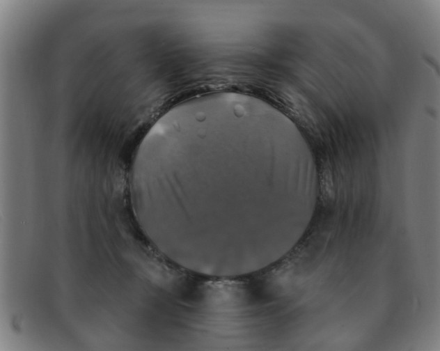 X0000091350367200708311521