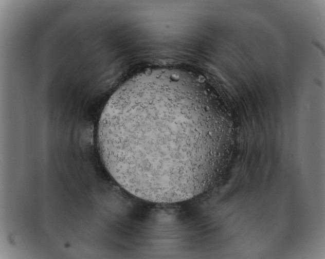 X0000091350368200708311521