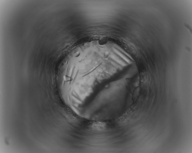 X0000091350369200708311521