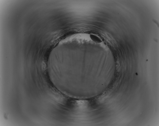 X0000091350371200708311521