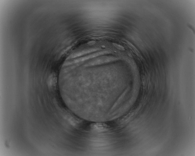 X0000091350372200708311521