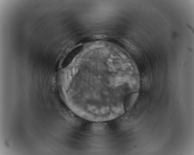 X0000091350373200708311521