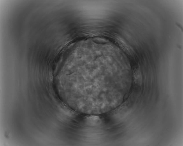 X0000091350374200708311521