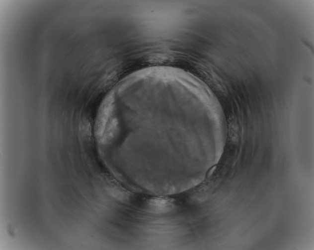 X0000091350375200708311521