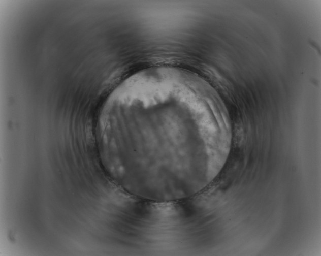 X0000091350377200708311521