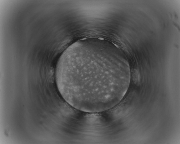 X0000091350378200708311521