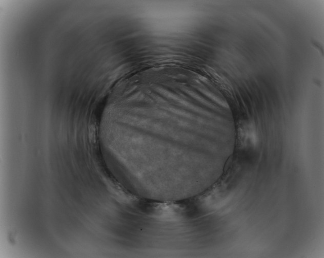 X0000091350379200708311521