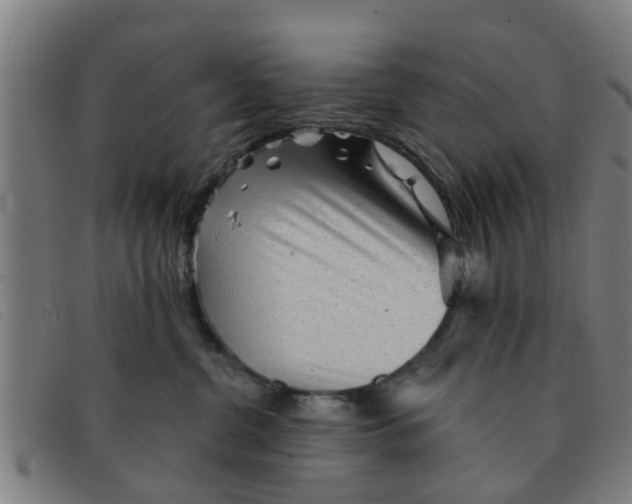 X0000091350380200708311521