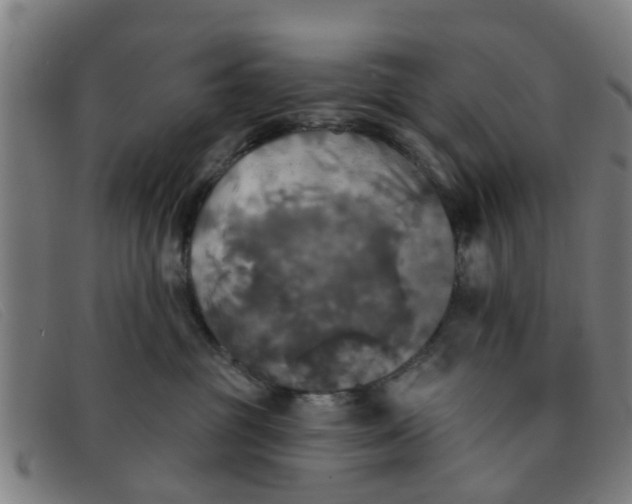 X0000091350381200708311521