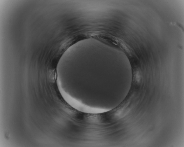 X0000091350383200708311521
