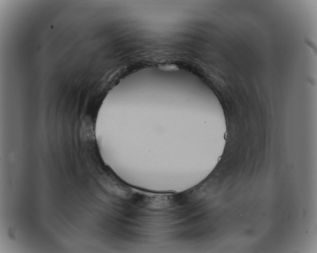 X0000091350384200708311521