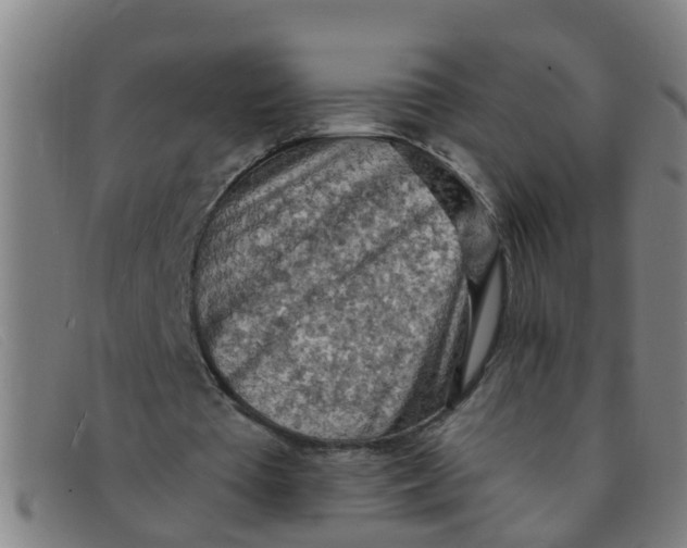 X0000091350385200708311520