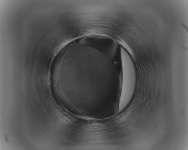 X0000091350387200708311520