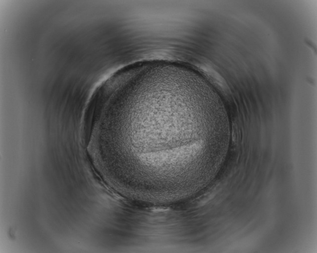 X0000091350388200708311520