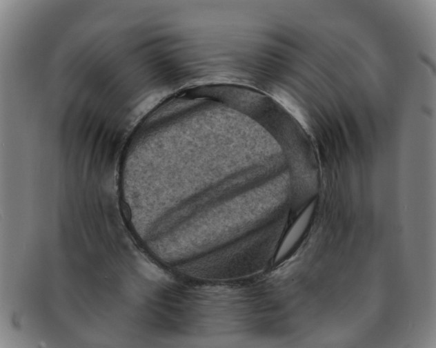 X0000091350389200708311520