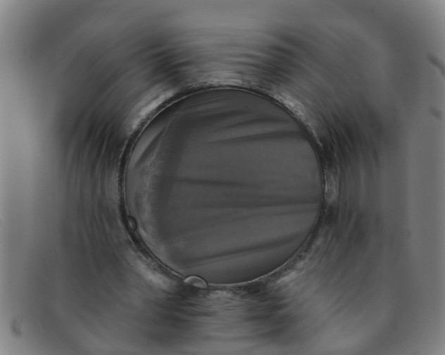 X0000091350390200708311520