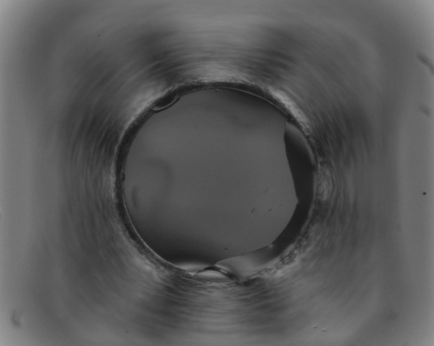 X0000091350391200708311520