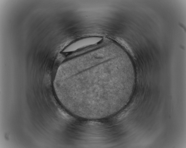 X0000091350393200708311520