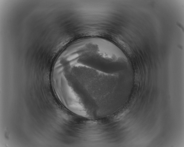 X0000091350394200708311520