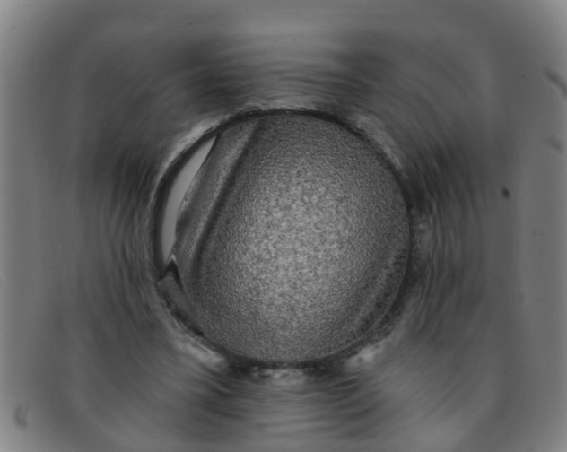 X0000091350395200708311520