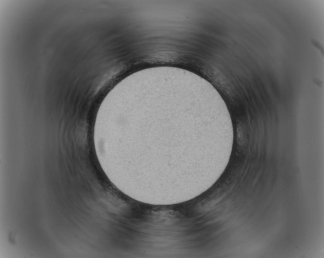 X0000091350396200708311520