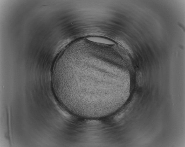 X0000091350397200708311520