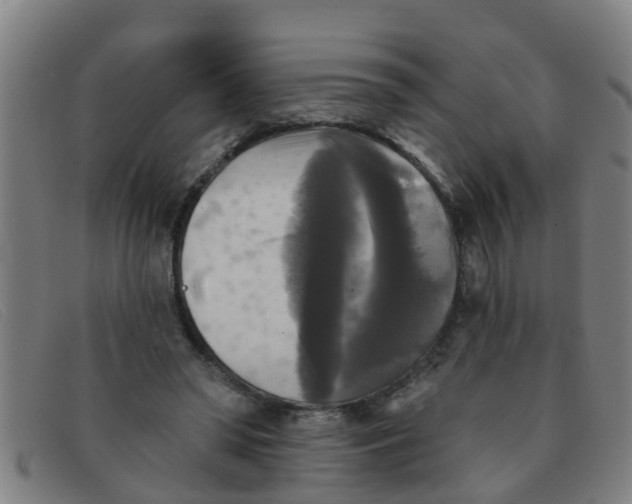 X0000091350398200708311520