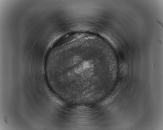 X0000091350399200708311520